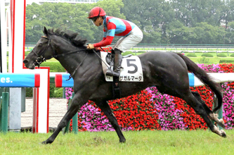 【注目馬動向】５・２億円馬サガルマータは熊野特別で必勝態勢へ　秋は「菊花賞へと思っています」と指揮官
