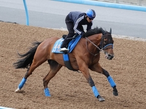 【新潟ジャンプステークス展望】障害重賞２勝目を狙うローディアマントが中心
