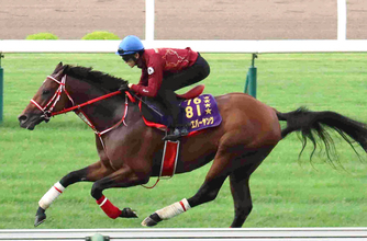 ダート王者フォーエバーヤングが“異例”の芝コース追い！　函館で迫力満点の動き　坂井瑠星騎手「初めてと思えないぐらい…」