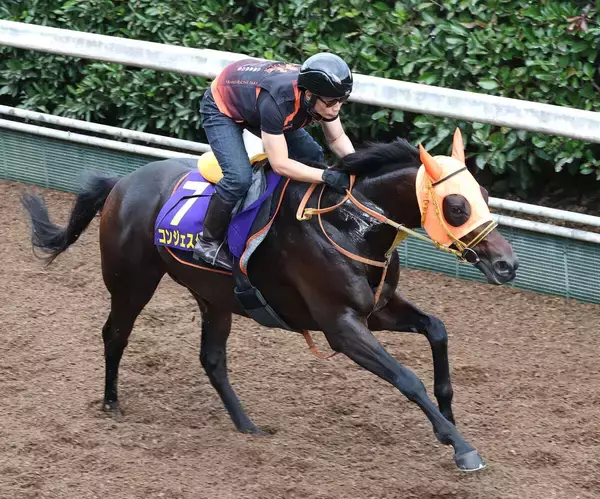 【菊花賞】ロブチェン３冠阻止へ、コンジェスタス今回は躍動感が違う！高野調教師「いい状態で２冠馬に挑めます」