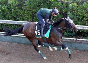 【小倉大賞典】初の古馬重賞挑戦でも注目　前走同舞台Ｖエラトーに陣営は自信あり「前走くらい走れれば勝ち負けでも」