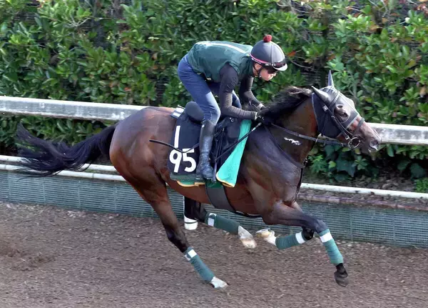 【小倉大賞典】初の古馬重賞挑戦でも注目　前走同舞台Ｖエラトーに陣営は自信あり「前走くらい走れれば勝ち負けでも」