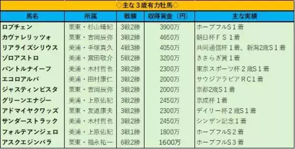 皐月賞馬候補にリアライズシリウス挙げたＰＯＧ記者の注目馬は？　報知杯弥生賞を前に実力伯仲の牡馬クラシック戦線を占う