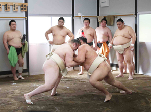 【大相撲】初の綱取りに挑む安青錦、出稽古で完璧仕上げ「順調にきている」霧島、若元春と７番全勝…春場所８日初日