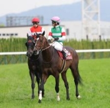 【読売マイラーズＣ】４戦ぶり芝のシックスペンスは７着　復活星ならずも戸崎圭太騎手「前走より上手に走れていました」