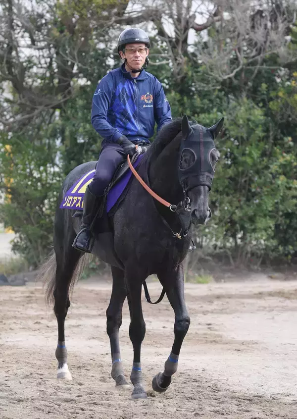 【注目馬動向】ゾロアストロは鼻出血で日本ダービーを登録見送り　５・９億円馬エムズビギンが滑り込みで出走可能に