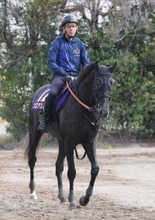 【注目馬動向】ゾロアストロは鼻出血で日本ダービーを登録見送り　５・９億円馬エムズビギンが滑り込みで出走可能に