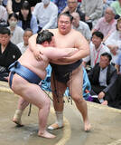 「友風の連勝が「５」でストップ　はたく暇なく４敗目　「相手が考えてきましたね」」の画像1