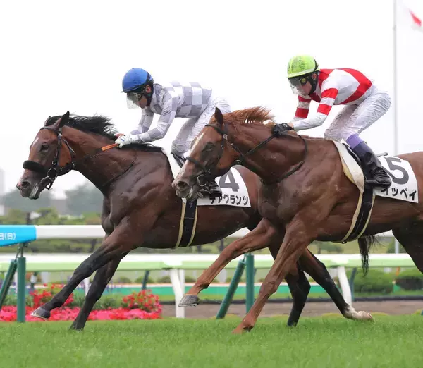 【函館５Ｒ・２歳新馬】デアグランツが武豊騎手のイッペイの猛追しのいで初勝利　浜中俊騎手「２着馬が来たら…」