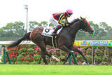 「【中京１Ｒ・２歳未勝利】ジェンティルドンナの孫サンタンジェロが差し切って初勝利　横山武史騎手「すごくいい脚を使ってくれました」」の画像1