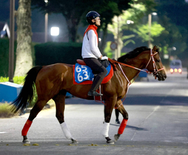 【アイビスＳＤ・ヤマタケの特注馬】アメリカンステージの直千適性は高い！　初の国内重賞でスピード見せつける