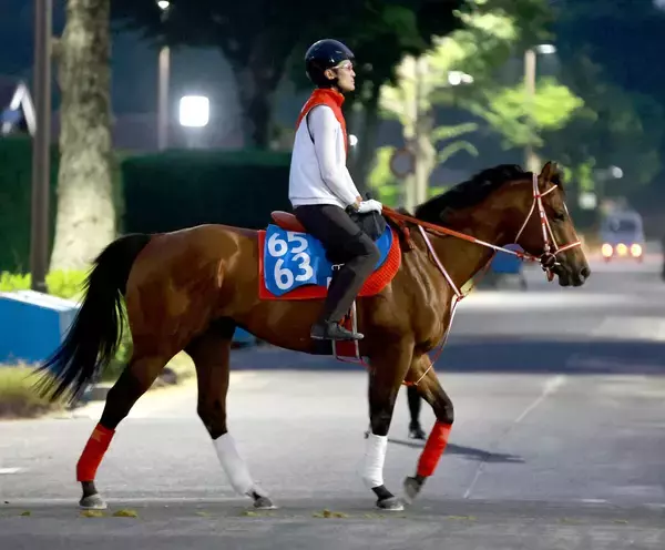 【アイビスＳＤ・ヤマタケの特注馬】アメリカンステージの直千適性は高い！　初の国内重賞でスピード見せつける