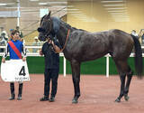 「【中京２Ｒ・２歳新馬】ジャスティファイ産駒のファンビッチャンが快勝　幸英明騎手「タイム以上に強かった」」の画像1