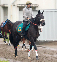 【注目馬動向】芙蓉Ｓ３着のジョドレルバンクは東京スポーツ杯２歳Ｓで巻き返しへ