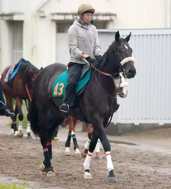 【注目馬動向】芙蓉Ｓ３着のジョドレルバンクは東京スポーツ杯２歳Ｓで巻き返しへ