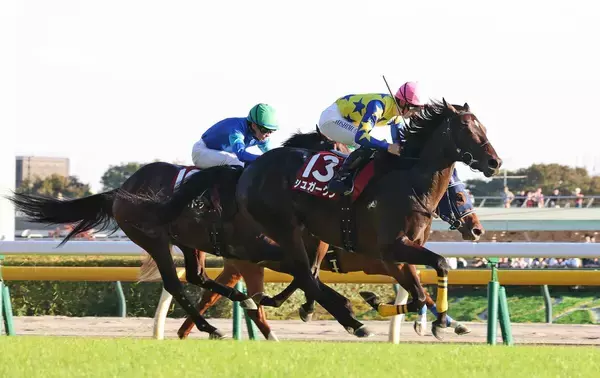 【富士Ｓ】Ｇ１・７勝の顕彰馬の半弟シュガークンが直線ごぼう抜きで完全復活！清水久師「切れましたね。さすが弟」