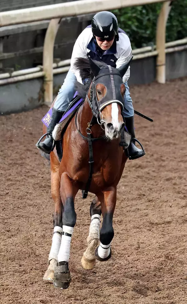 【有馬記念】エキサイトバイオが繰り上がり出走へ　今野調教師「出る準備はできていました」