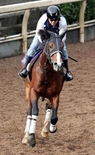 【有馬記念】エキサイトバイオが繰り上がり出走へ　今野調教師「出る準備はできていました」