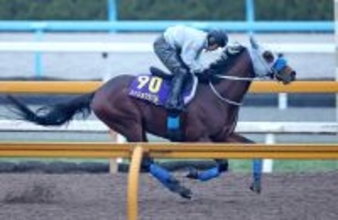 【有馬記念】途中からハナに立つも武豊騎手のメイショウタバルはまさかの２けた着順　同一年春秋グランプリ制覇ならず