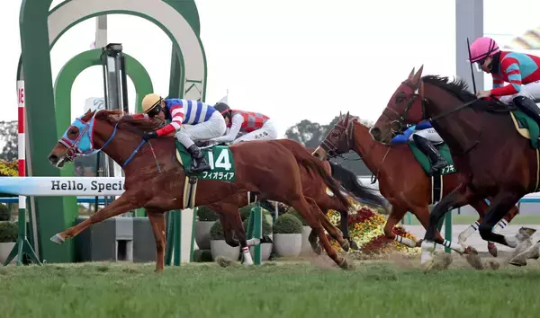 【シルクロードＳ】３連単同レース最高２４３万円超！１６番人気フィオライアが重賞初Ｖ　西園正調教師「最後まで頑張ります」　