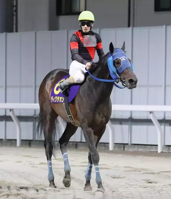 【注目馬動向】東京大賞典を制したディクテオンがドバイＷＣ受諾