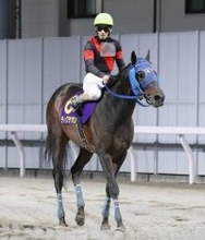 【注目馬動向】東京大賞典を制したディクテオンがドバイＷＣ受諾