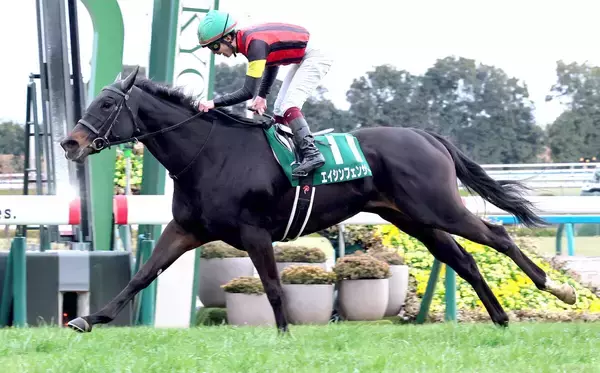 エイシンフェンサーが引退し繁殖馬に　２５年シルクロードＳで川又賢治騎手と人馬ともに重賞初Ｖ