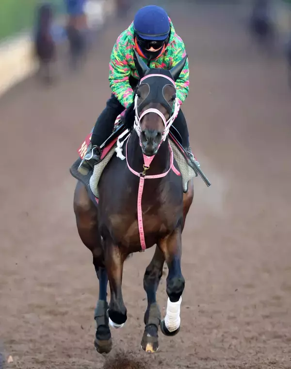 【チューリップ賞・松ケ下の特注馬】タイセイボーグの前走を評価　阪神ＪＦ３着と同舞台で重賞初制覇だ