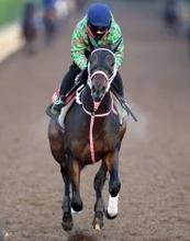 【チューリップ賞・松ケ下の特注馬】タイセイボーグの前走を評価　阪神ＪＦ３着と同舞台で重賞初制覇だ