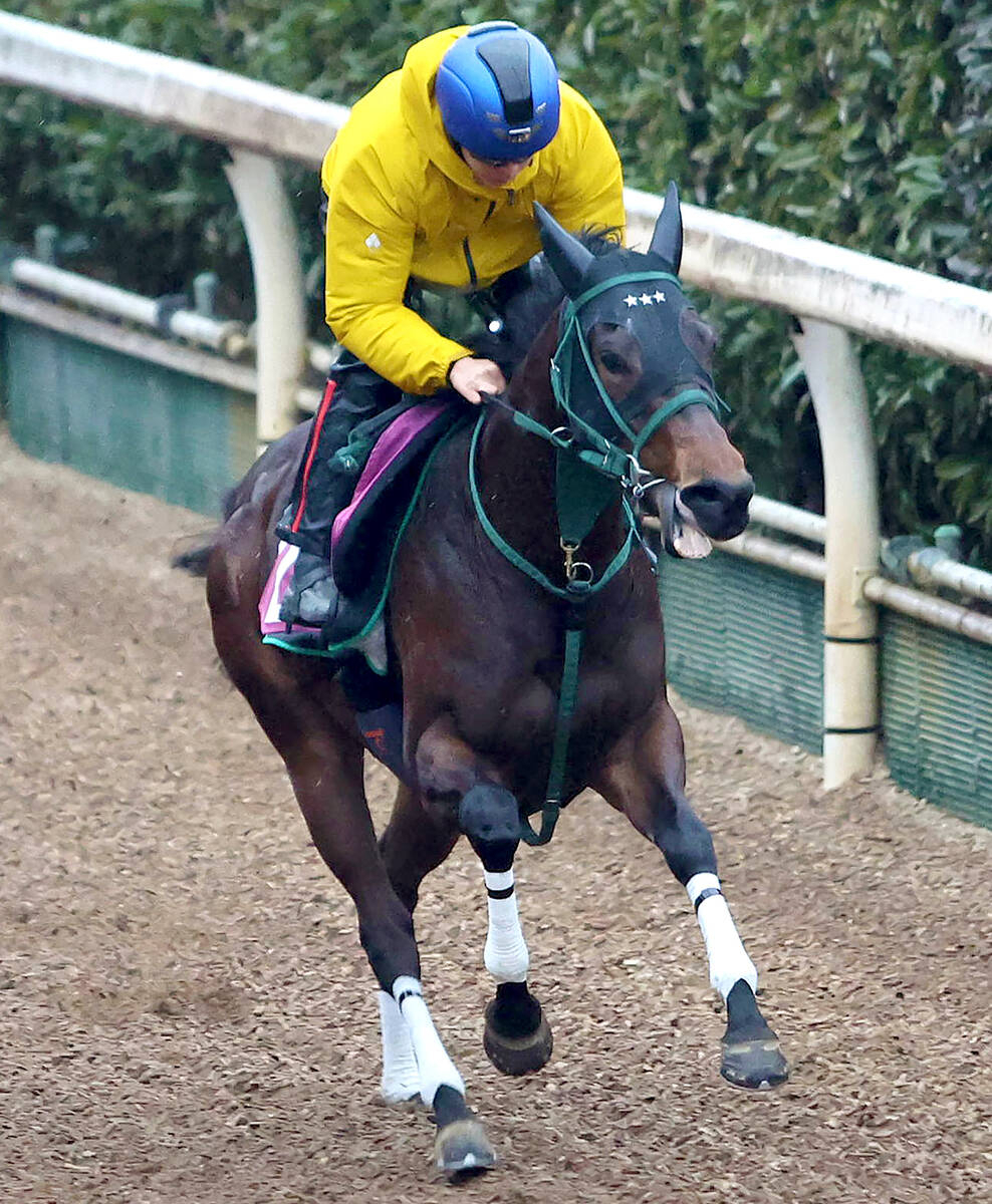 【チューリップ賞】グランドオーパスは逃げてもいい　橋口調教師「相手なりに走れそうなタイプです」