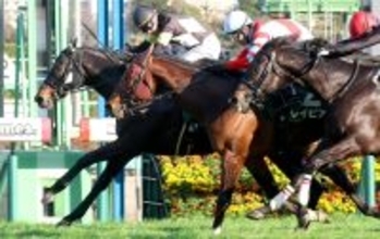 【高松宮記念・超ブル診断ステップレース編】大混戦のオーシャンＳから衰え見られない７歳牝馬が個別評価最高「Ｇ」