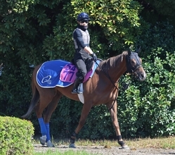 土曜中山競馬場の注目激走馬…中山１１Ｒニュージーランドトロフィー・Ｇ２