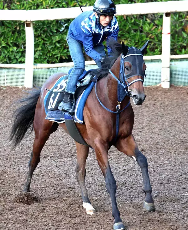 【あすの注目】「今回も起きてくれれば」　前走５馬身差圧勝で「お目覚め」のボクマダネムイヨが加古川特別で連勝狙う
