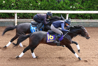 【Ｇ１トク捜リレー】栗東・理貴記者の２つの不安は解消！　秋春グランプリ連覇狙える出来のミュージアムマイル