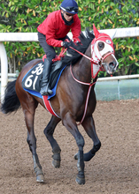 ＧＬＡＹのＴＥＲＵが武豊騎乗に感謝「こんなにも早く実現していただけるとは！」名付けたテルヒコウのレースに駆け付ける