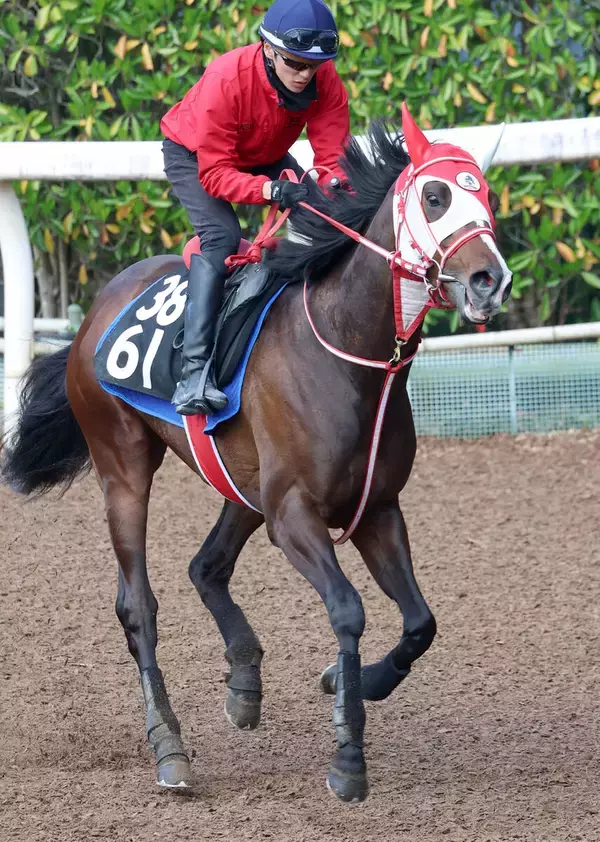 ＧＬＡＹのＴＥＲＵが武豊騎乗に感謝「こんなにも早く実現していただけるとは！」名付けたテルヒコウのレースに駆け付ける