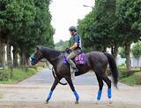 「日曜新潟競馬場の注目激走馬…新潟８Ｒ新潟記念・Ｇ３」の画像1