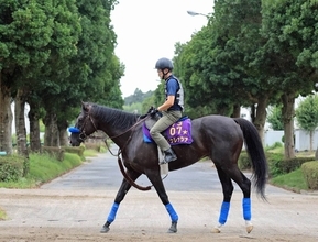 日曜新潟競馬場の注目激走馬…新潟８Ｒ新潟記念・Ｇ３