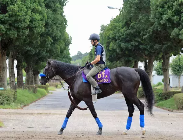 日曜新潟競馬場の注目激走馬…新潟８Ｒ新潟記念・Ｇ３