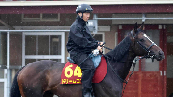 【注目馬動向】右回りで今度こそ！ドリームコアは秋華賞へ　紫苑Ｓ３着からの巻き返しを図る