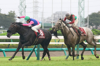 【オールカマー】ＪＲＡ最年長ジョッキー騎乗のキャントウェイトは無念２着　萱野調教師「スムーズなら…」