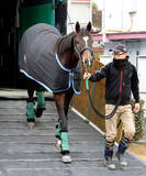 「【有馬記念】中山巧者のマイネルエンペラーは名前に負けない結果に期待　陣営「名前通り走るのはなかなか無いこと」」の画像1