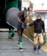 【有馬記念】中山巧者のマイネルエンペラーは名前に負けない結果に期待　陣営「名前通り走るのはなかなか無いこと」