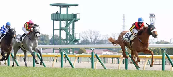 【東京６Ｒ・３歳未勝利】フォーエバーヤングの前祝い！半妹ダーリングハーストＶ　国枝調教師「前座レース」