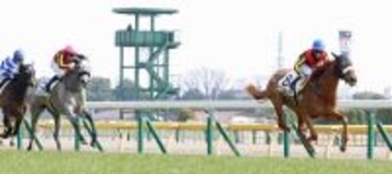 【東京６Ｒ・３歳未勝利】フォーエバーヤングの前祝い！半妹ダーリングハーストＶ　国枝調教師「前座レース」