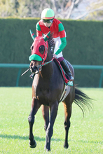 【阪急杯】過怠金発生の横山武史騎手「反応がなかった」　２番人気マイネルチケットは９着に沈む