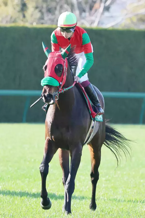 【阪急杯】過怠金発生の横山武史騎手「反応がなかった」　２番人気マイネルチケットは９着に沈む
