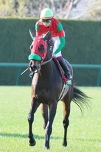 【阪急杯】過怠金発生の横山武史騎手「反応がなかった」　２番人気マイネルチケットは９着に沈む