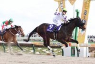 ペプチドナイルがアロースタッドで種牡馬入り　フェブラリーＳ制覇時の藤岡佑介騎手引退週に発表