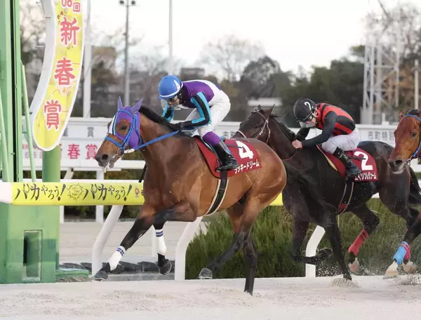 兵庫のラッキードリームが浦和へ移籍　２０年ＪＢＣ２歳優駿など重賞１３勝　野田オーナーがＸで明かす